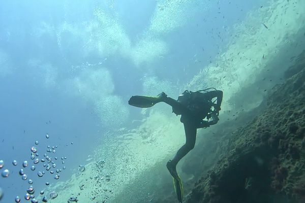 La plongée sous-marine soignerait toutes formes de stress et d'anxiété post-traumatique, selon une étude menée par l'AP-HM