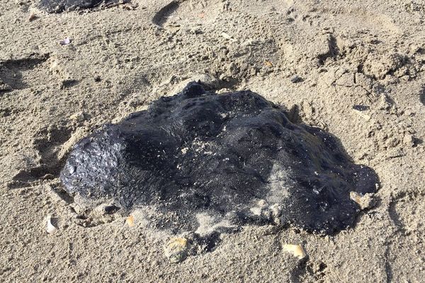 Aux Saintes-Maries-de-la-mer, des centaines de galettes d'hydrocarbure de 2 à 40 cm de diamètre jonchent les plages. 