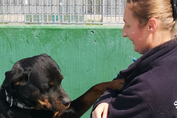 Catherine Bronner travaille à la SPA de Strasbourg depuis 27 ans, toujours avec la même passion pour les animaux