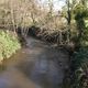 Remettre le ruisseau de la Goutte dans son lit d'origine va également permettre de régénérer la biodiversité de certaines prairies de Saint-Jean-Ligoure (Haute-Vienne).