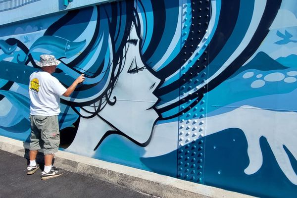 Le street artiste anglais, Inkie, a été choisi pour réaliser une grande fresque, sur le barrage EDF de Marckolsheim (Haut-Rhin).