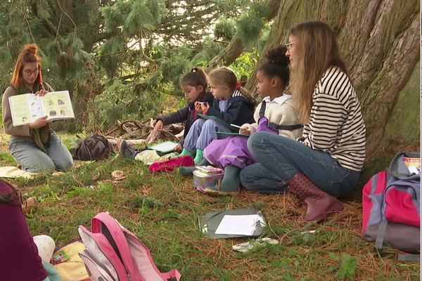 L’école en forêt considère la nature comme un support pédagogique.