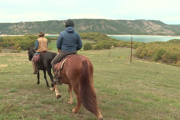 Une soixantaine de chevaux ont effectué leur transhumance autour du lac de Sainte-Croix ce week-end.