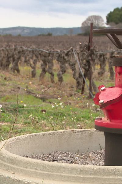 Le réseau d'irrigation et d'eau potable Aqua Domitia en Occitanie - Illustration