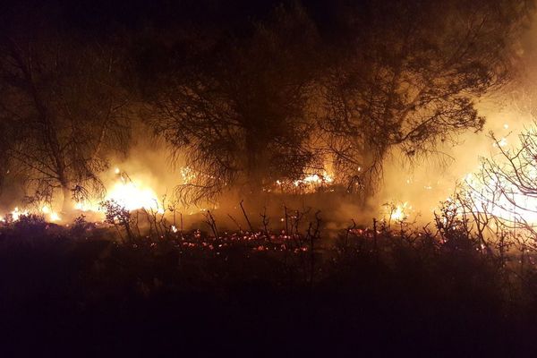 Incendie dans l'Aude le 10 juillet 2018.