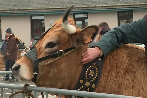 Haute a été choisie pour être l'égérie du salon de l'agriculture 2018. 