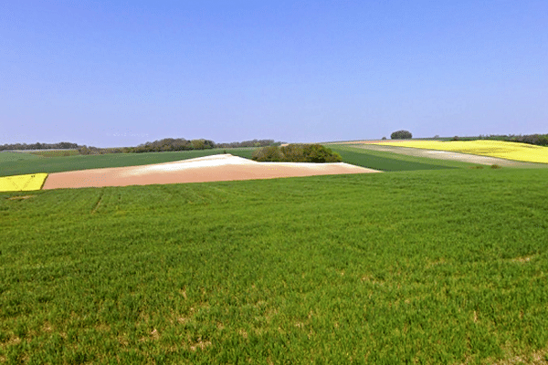 Le centre de gravité du Nord-Pas-de-Calais - Picardie se situerait quelque part au milieu de ces champs, selon l'IGN.