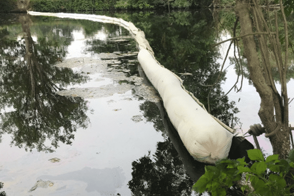 Des boudins absorbants installés dans la Sèvre Nantaise lors d'une pollution en juillet 2021