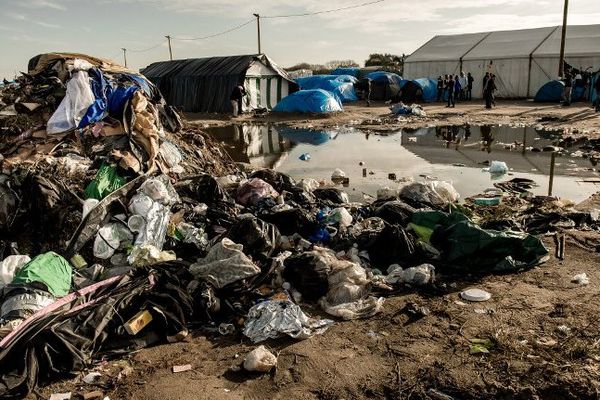 Certains secteurs de la "Jungle" vont être déblayés pour aménager des conteneurs.