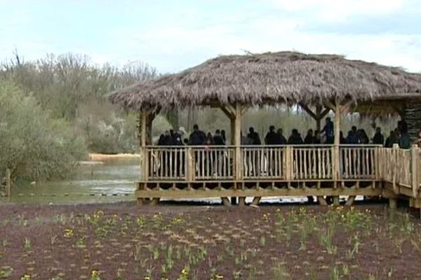 Parmi les nouveautés de la saison 2015, un bassin naturel avec des hippopotames.