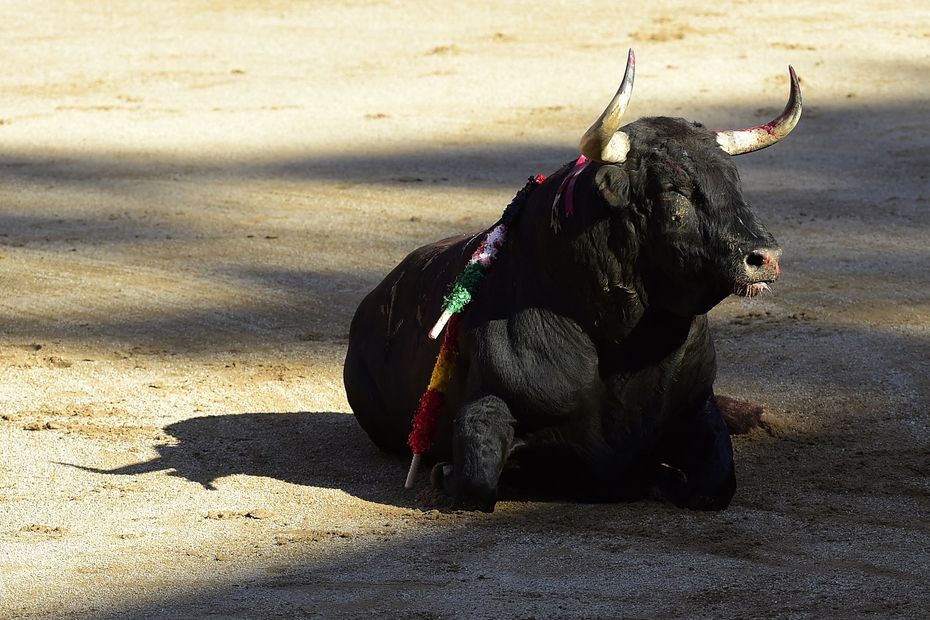 “Torturing an animal to death for 20 minutes is the shame of France”