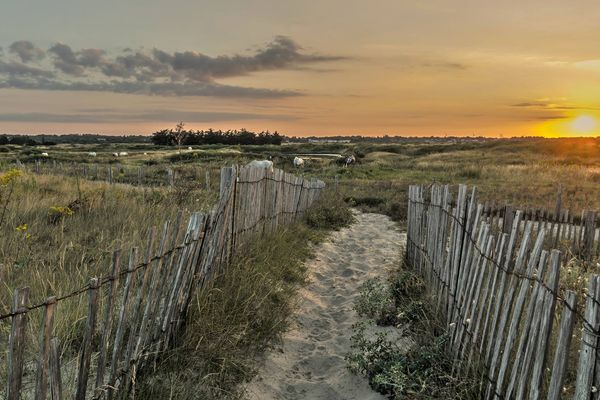 Retour de plage en Vendée (85).