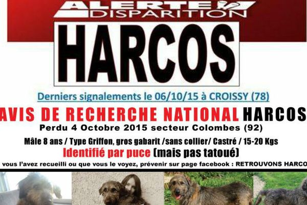 "Alerte disparition" sur Facebook... Pour retrouver un chien disparu dans les Hauts-de-Seine.