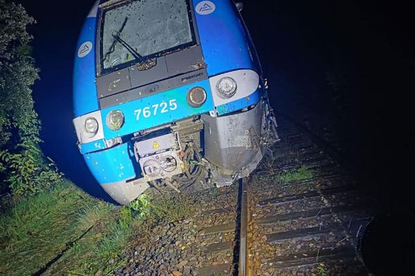 Deux personnes ont été blessées dans le déraillement du train régional.