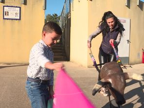 Cours de tauromachie à Arles