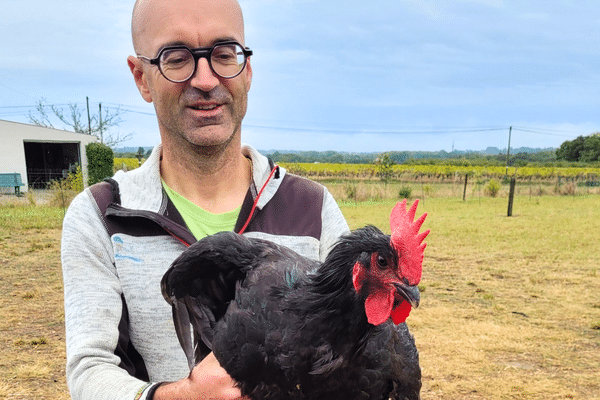 Insolite. À 40 ans, il change de vie pour devenir agriculteur bio et embarque sa famille dans l'aventure