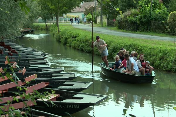 L'été 2023 est très mitigé pour le tourisme dans le Marais poitevin. La faute à une météo compliquée et un contexte économique difficile, selon les bateliers.