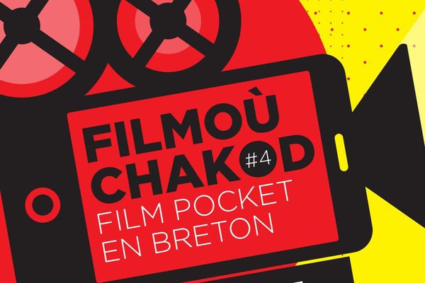 Skritell ar genstrivadeg filmoù chakod 2020.