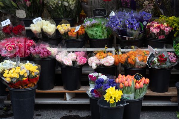 Illustration de fleurs en vente chez un fleuriste.