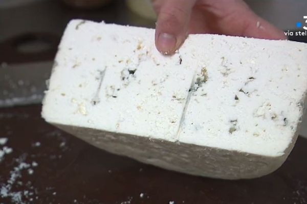 Du Roquefort avec du lait de chèvre, une innovation testée à la fromagerie de Fiore di Latte, à Arbori