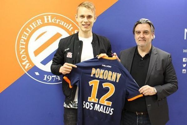 Luka Pokorny s'engage avec le MHSC - 23 janvier 2017