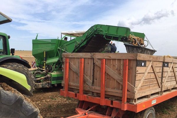 Aube Un Agriculteur Preserve Sa Recolte De Pommes De Terre Grace A L Irrigation