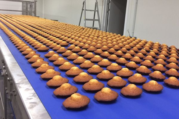 Des suspicions de présence de moisissures sur des madeleines Jeannette ont contraint l'entreprise normand à rappeler des produits.