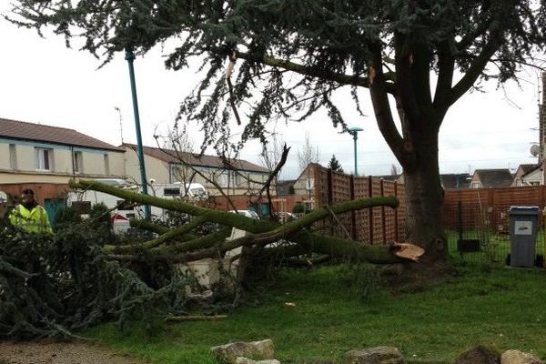 Des branches arrachées ce vendredi sous l'effet du vent à Waziers (Nord).