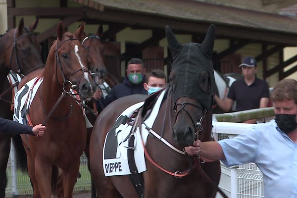 A Dieppe, voyage dans les coulisses de l'hippodrome (image extraite d'une vidéo)