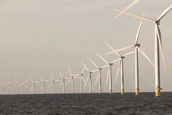 Un parc éolien offshore au Danemark.