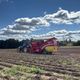 Récolte de pommes de terre en Limousin