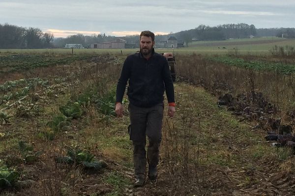 L'agriculture bio gagne du terrain