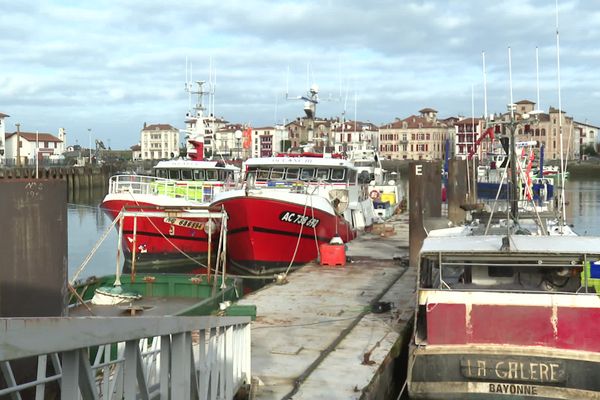 L'interdiction de pêche dans le Golfe de Gascogne a été validée par le Conseil d'Etat pour un mois, cet hiver.