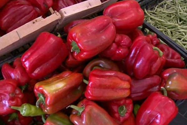 La canicule a un impact sur le développement des légumes.