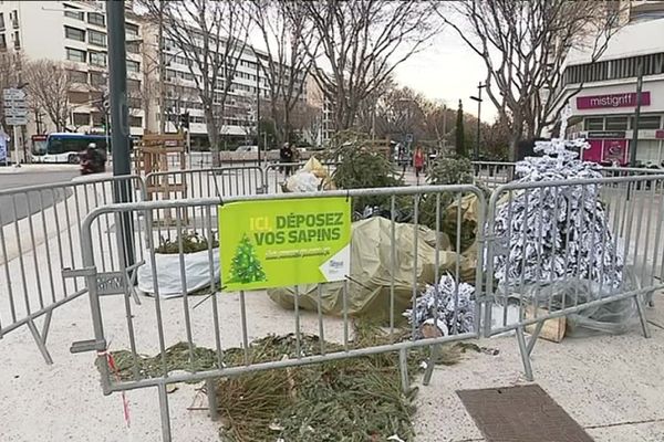 Aire de dépôt de sapins de Noël à Marseille