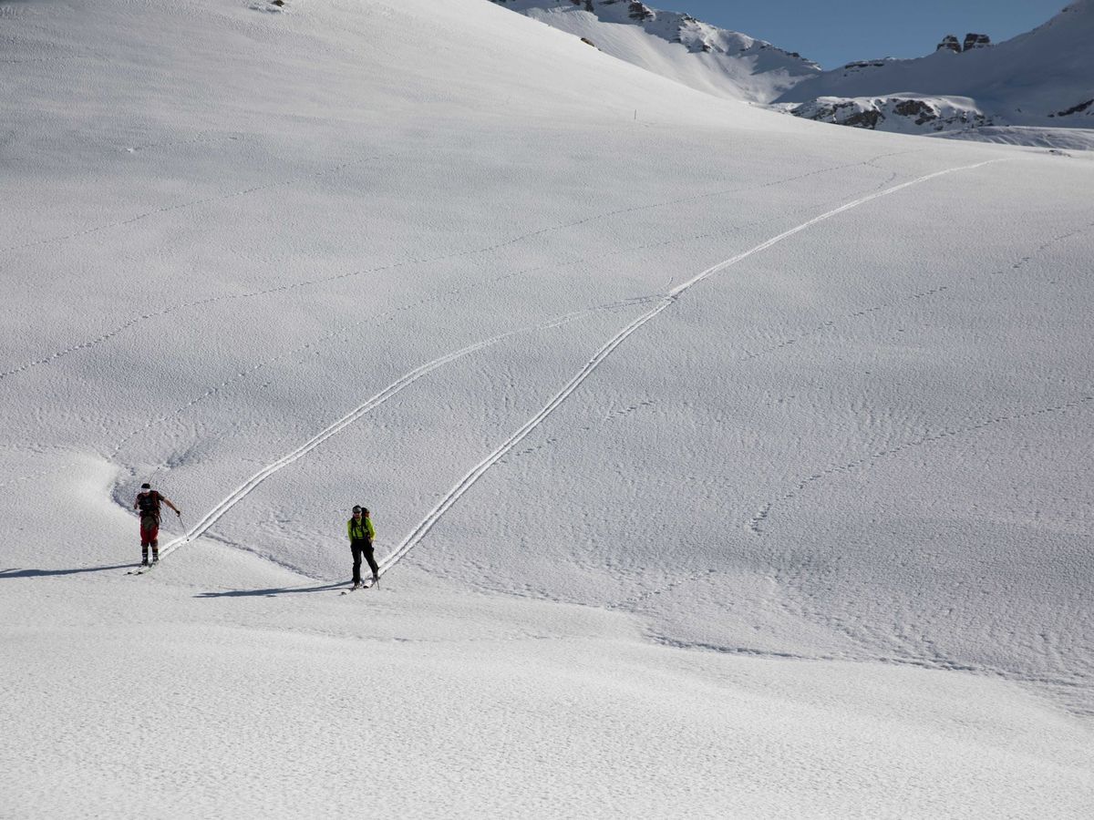 Montagne 5 Choses A Savoir Avant De Passer Du Ski De Piste Au Ski De Randonnee