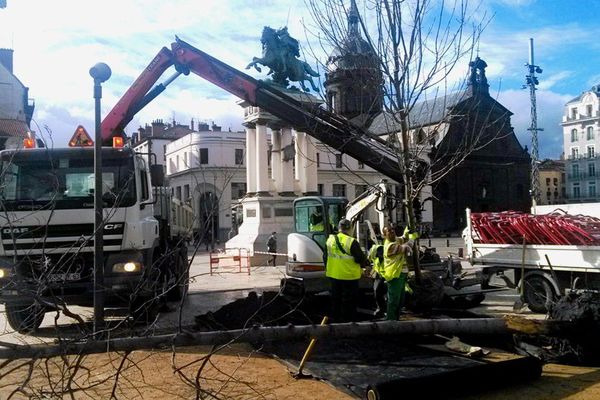 A Clermont-Ferrand, certains arbres de la place de Jaude sont tombés malades, ils sont donc remplacés par des essences plus robustes.