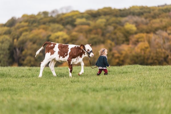 Clichés de famille, d'entreprises, portraits, mariage, Benoît Py est photographe à Vesoul. Il fait partie de l'équipe de France de photographie 2025.