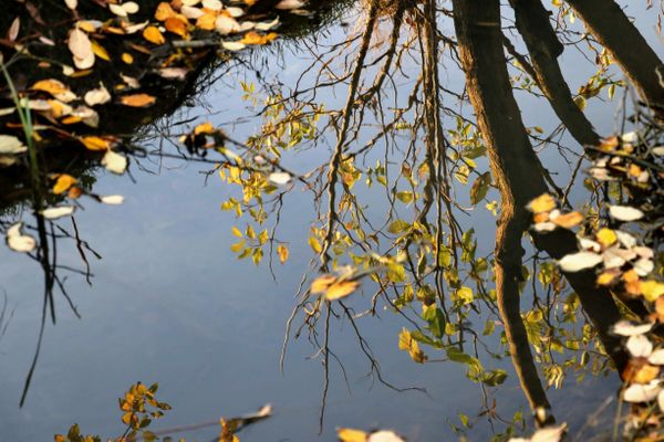 Vivement cet après-midi, l'ambiance sera plus lumineuse