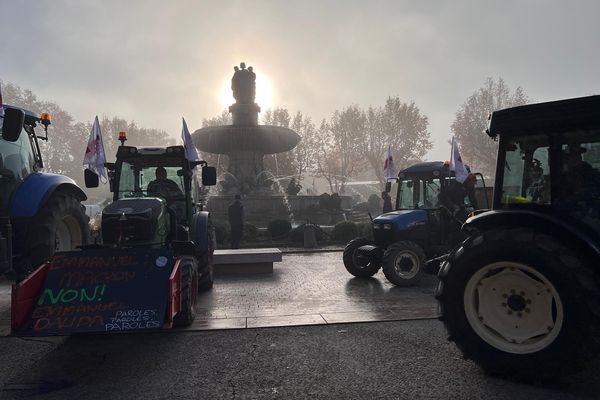 Les agriculteurs en colère se sont rassemblés devant la Rotonde à Aix-en-Provence ce vendredi 29 novembre, à l'appel des JA et de la FDSEA.