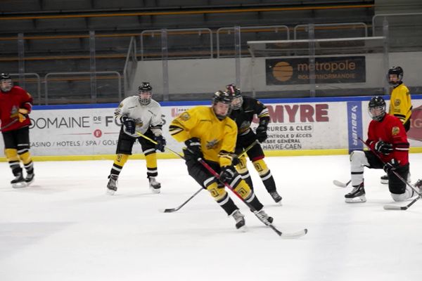 Les Dragons de Rouen ont lancé leur Académie pour former les professionnels de demain.