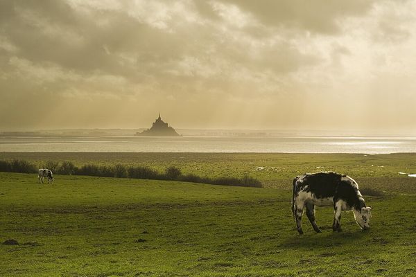 Ombre et lumière au Mont-Saint-Michel.