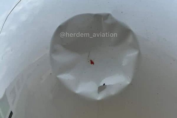 Le nez d'un Airbus A321 heurté par un oiseau complétement déformé avant l'atterrissage, l'appareil arrive à se poser sans encombre