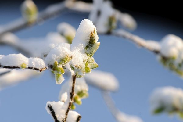 Météo France prévoit un épisode de neige mardi 22 et mercredi 23 janvier, du Massif central aux Alpes.