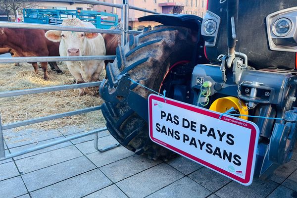 Les agriculteurs de l'Aveyron ont choisi l'opération séduction sur la Place d'armes de Rodez, ce 27 novembre 2024.