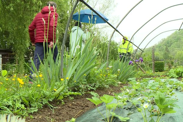 Un jardins partagé de Périgueux en Dordogne où la brigade anti-moustiques tigres traquent les larves, 25 avril 2023.