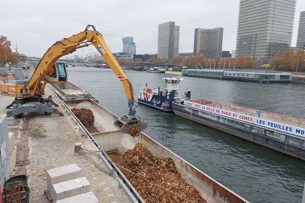 Les feuilles mortes ramassées dans les rues de Paris sont transportées en barge sur la Seine.