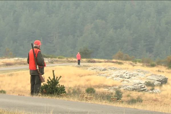 La battue organisée à Prevenchères en Lozère