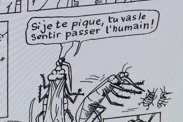 La bande dessinée comme échappatoire, c'est ce qu'a choisi Camille Burger, après avoir été victime des punaises de lit