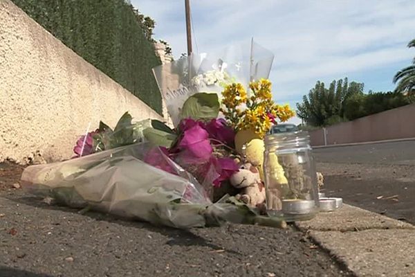 Sauvian (Hérault) - Des fleurs sur le lieu où a été retrouvé le corps du garçon de 12 ans poignardé - 26 septembre 2016.